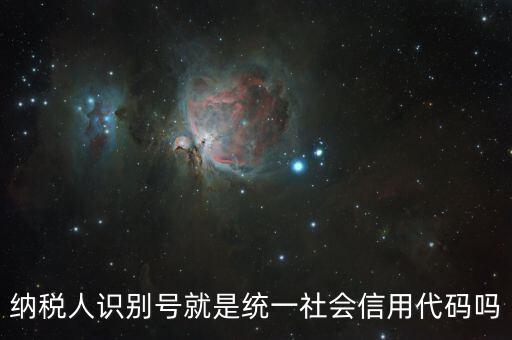 什么是納稅人統(tǒng)一社會(huì)信用代碼是什么，納稅人識(shí)別號就是統(tǒng)一社會(huì)信用代碼嗎