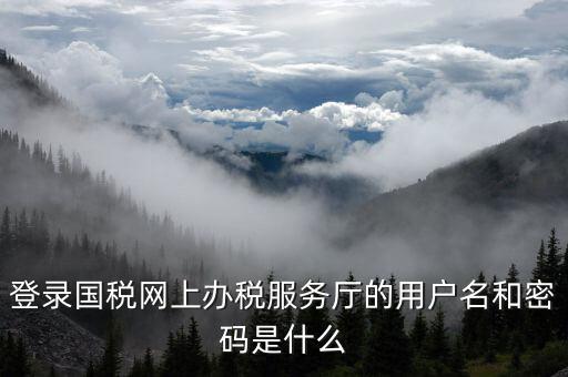 登錄國稅網上辦稅服務廳的用戶名和密碼是什么