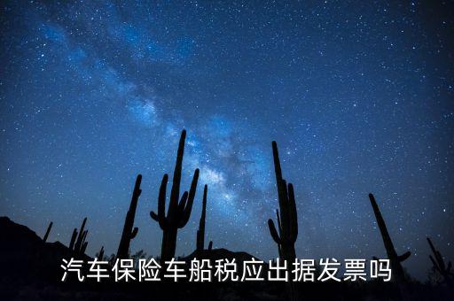 汽車保險車船稅應出據發票嗎