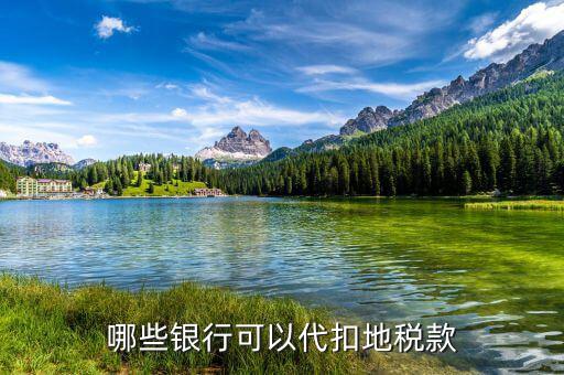 什么銀行代收稅款，哪些銀行代收車船使用稅