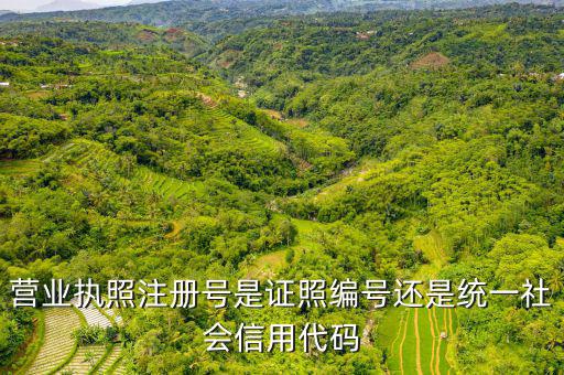 營業執照注冊號是證照編號還是統一社會信用代碼