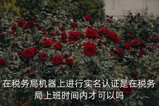 在稅務局機器上進行實名認證是在稅務局上班時間內才可以嗎