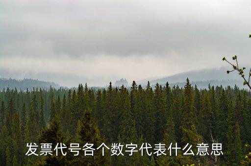 發票代號各個數字代表什么意思