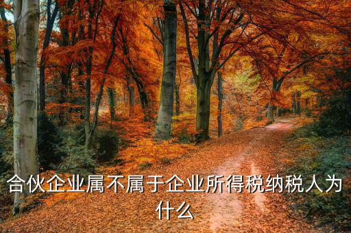 合伙企業為什么是個稅納稅人，合伙企業屬不屬于企業所得稅納稅人為什么