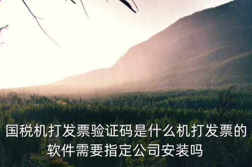 北京國稅電子發票驗證密碼是什么，國稅局發票軟件里用戶代碼和密碼是什么