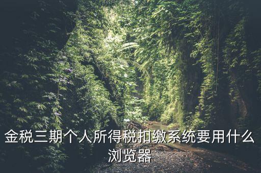 金稅三期個人所得稅扣繳系統要用什么瀏覽器
