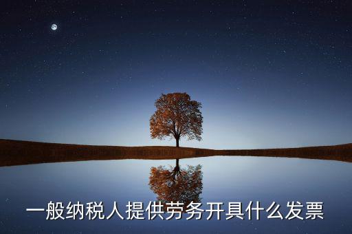 一般納稅人提供勞務開具什么發票