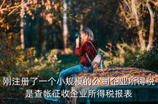 剛注冊了一個小規模的公司企業所得稅是查帳征收企業所得稅報表