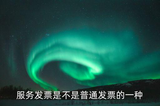 服務(wù)發(fā)票屬于什么發(fā)票，編制書(shū)刊服務(wù)費(fèi)的發(fā)票屬于什么類