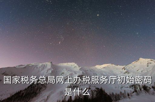 國家稅務總局網上辦稅服務廳初始密碼是什么