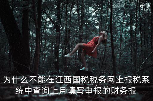 為什么不能在江西國稅稅務網上報稅系統中查詢上月填寫申報的財務報
