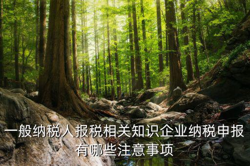 一般納稅人報稅相關知識企業納稅申報有哪些注意事項