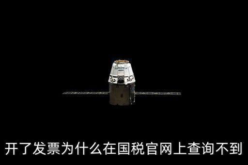 開了發票為什么在國稅官網上查詢不到