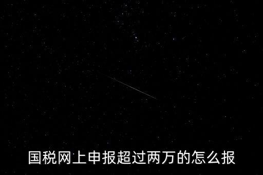 國稅網報入口是什么，怎樣才能進入小規模納稅人增值稅網上申報系統