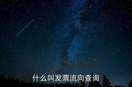 什么叫發票流向查詢