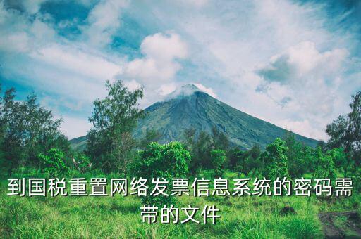 到國稅重置網絡發票信息系統的密碼需帶的文件