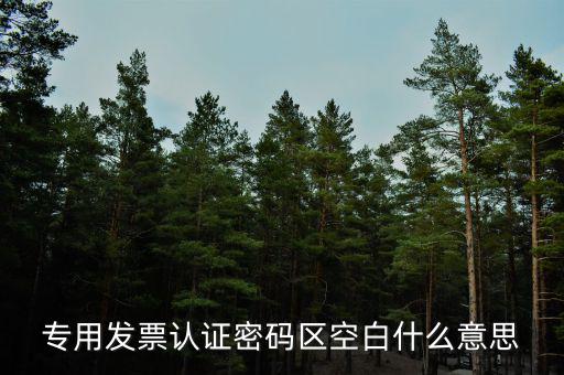 河南發票密碼是什么意思，專用發票認證密碼區空白什么意思