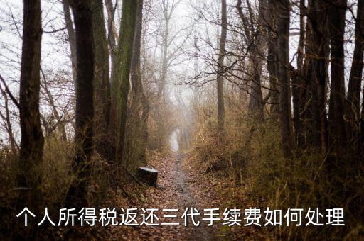 地稅局的退付三代手續(xù)費(fèi)是什么意思，三代手續(xù)費(fèi)返還該計入什么科目