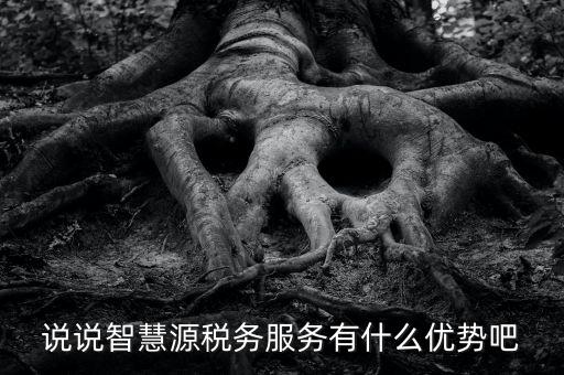 說說智慧源稅務服務有什么優勢吧