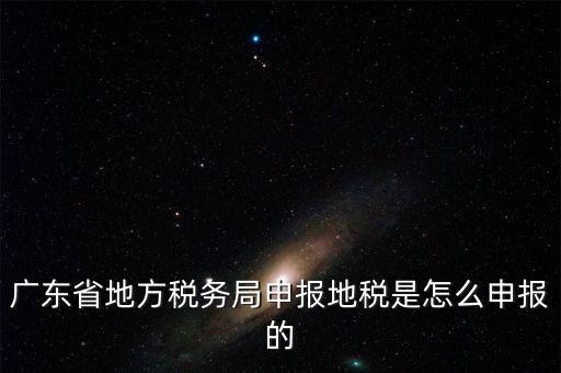 廣東省地方稅務局申報地稅是怎么申報的