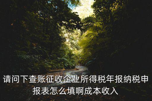 企業(yè)所得稅申報查賬是什么表，剛注冊了一個小規(guī)模的公司企業(yè)所得稅是查帳征收企業(yè)所得稅報表
