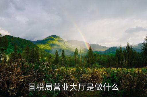 國稅局大廳工作是什么，國稅大廳咨詢人員具體是做什么工作的