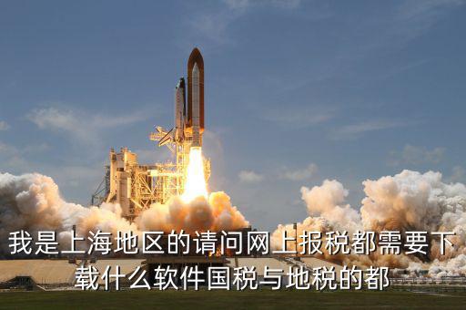 上海網上報稅用什么軟件，上海網上電子報稅下載什么軟件