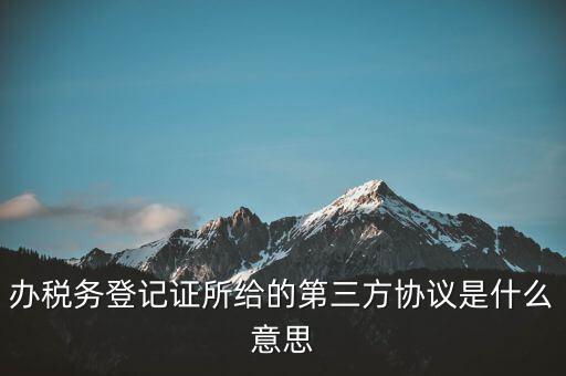 辦稅務登記證所給的第三方協議是什么意思