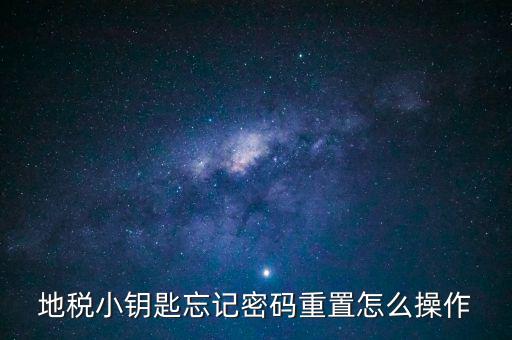 地稅密碼重置需要什么，地稅網上納稅申報密碼忘記了