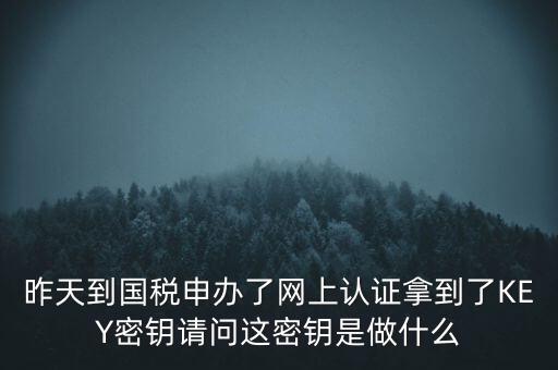 稅務認證密碼是什么，昨天到國稅申辦了網上認證拿到了KEY密鑰請問這密鑰是做什么