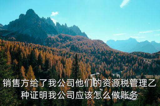 什么叫資源稅甲乙種證明，銷售方給了我公司他們的資源稅管理乙種證明我公司應該怎么做賬務