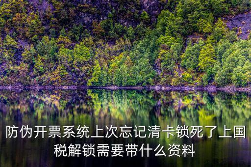 防偽開票系統上次忘記清卡鎖死了上國稅解鎖需要帶什么資料