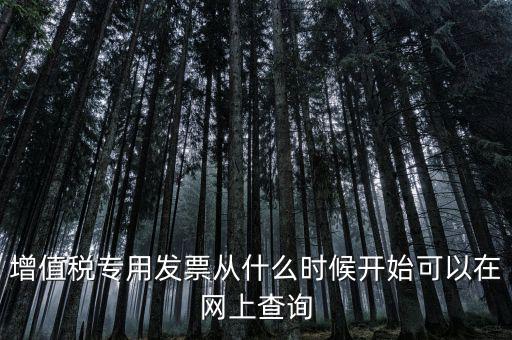 增值稅專用發票從什么時候開始可以在網上查詢
