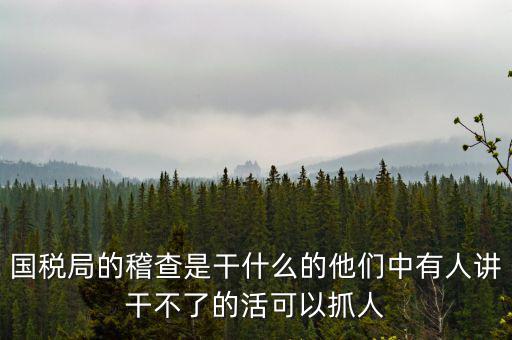 國稅局查什么的，國稅局的稽查是干什么的他們中有人講干不了的活可以抓人