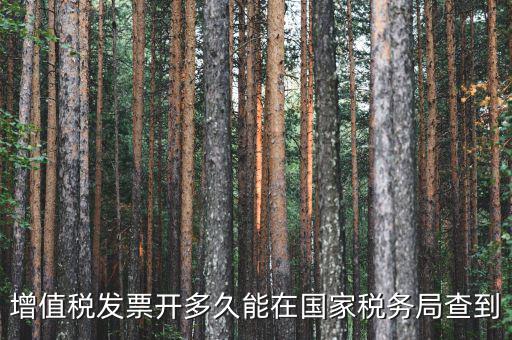 增值稅發票開多久能在國家稅務局查到