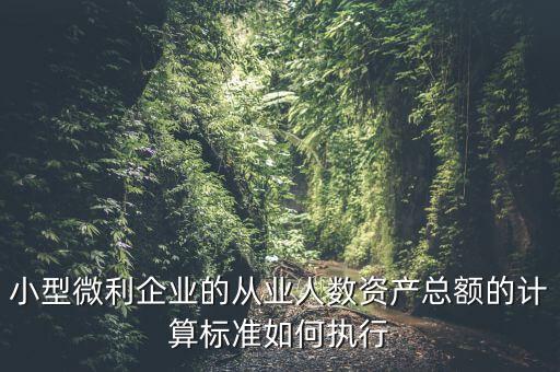 小型微利企業的從業人數資產總額的計算標準如何執行