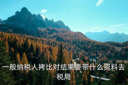 去稅務拷初始化文件帶什么東西，一般納稅人拷比對結果要帶什么資料去稅局