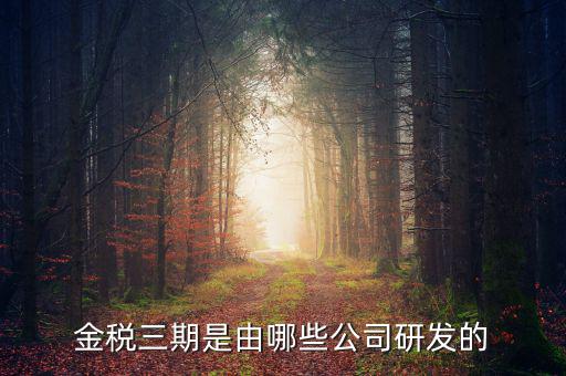 金稅三期是由哪些公司研發的