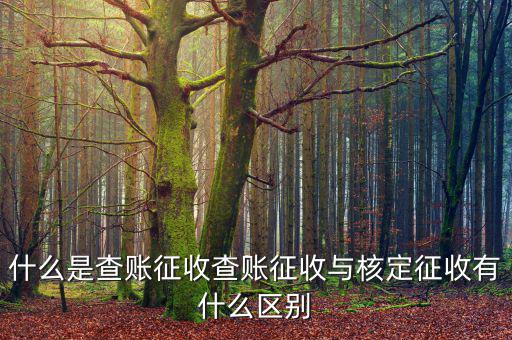 什么是查賬征收和核定征收，查賬征收與核定征收的區別是什么