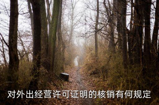 外經證核銷包括什么，對外出經營許可證明的核銷有何規定