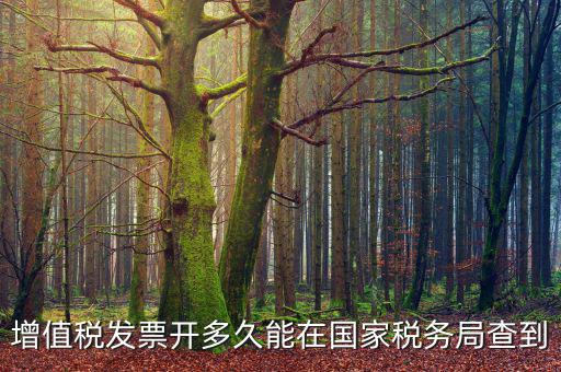 稅局什么時候查發票，增值稅發票開多久能在國家稅務局查到