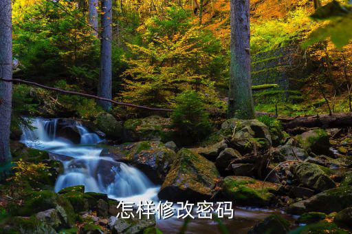 怎樣改國稅密碼是什么，山東省國家稅務局網上辦稅平臺納稅人的密碼怎么改