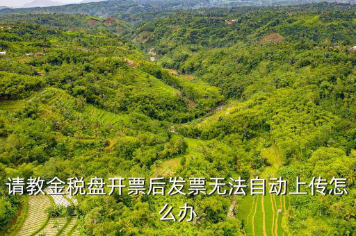 為什么增值發票上傳不上去，發票上傳不了怎么辦