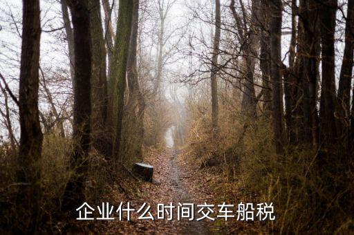 什么時候申報車船稅，車船稅應當在什么時候申報繳納 承德
