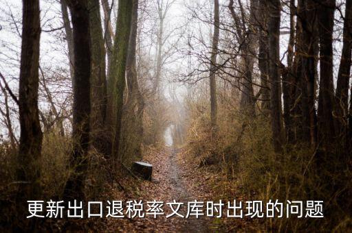 更新出口退稅率文庫時出現的問題