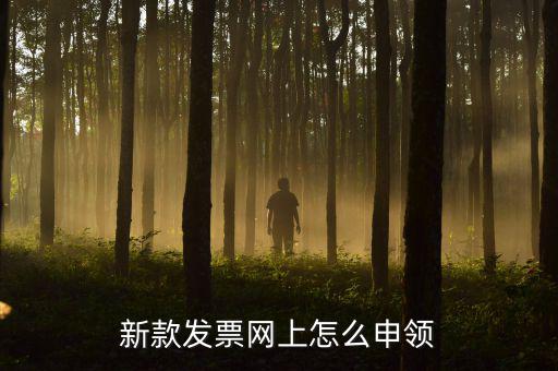 新款發票網上怎么申領