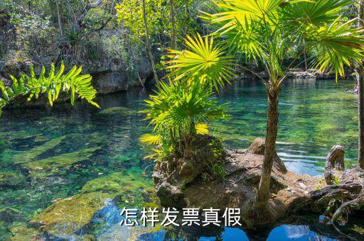 怎樣發票真假