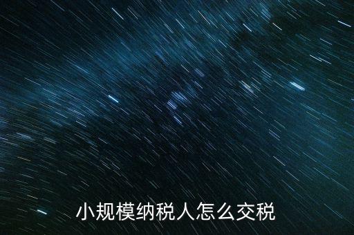 小規模納稅人怎么交稅