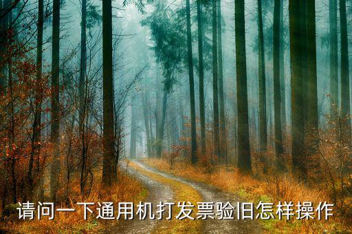 請問一下通用機打發票驗舊怎樣操作
