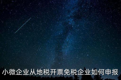 小微企業從地稅開票免稅企業如何申報
